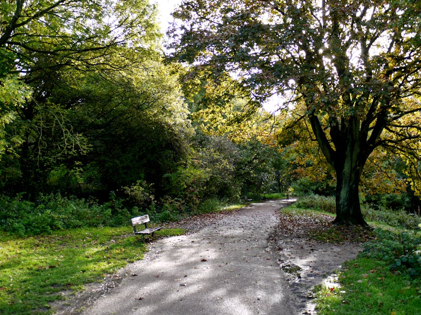 A tranquil scene in Hampstead Heath featuring a winding dirt pathway lined with lush green trees. The trees display a mix of fresh green and hints of autumnal yellow and orange foliage, providing dapp