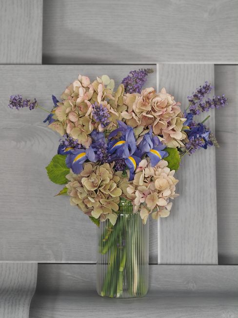 A floral arrangement featuring a harmonious mix of pale pink and cream hydrangeas, vibrant blue irises with yellow accents, and sprigs of delicate purple lavender, all set in a tall, clear glass vase